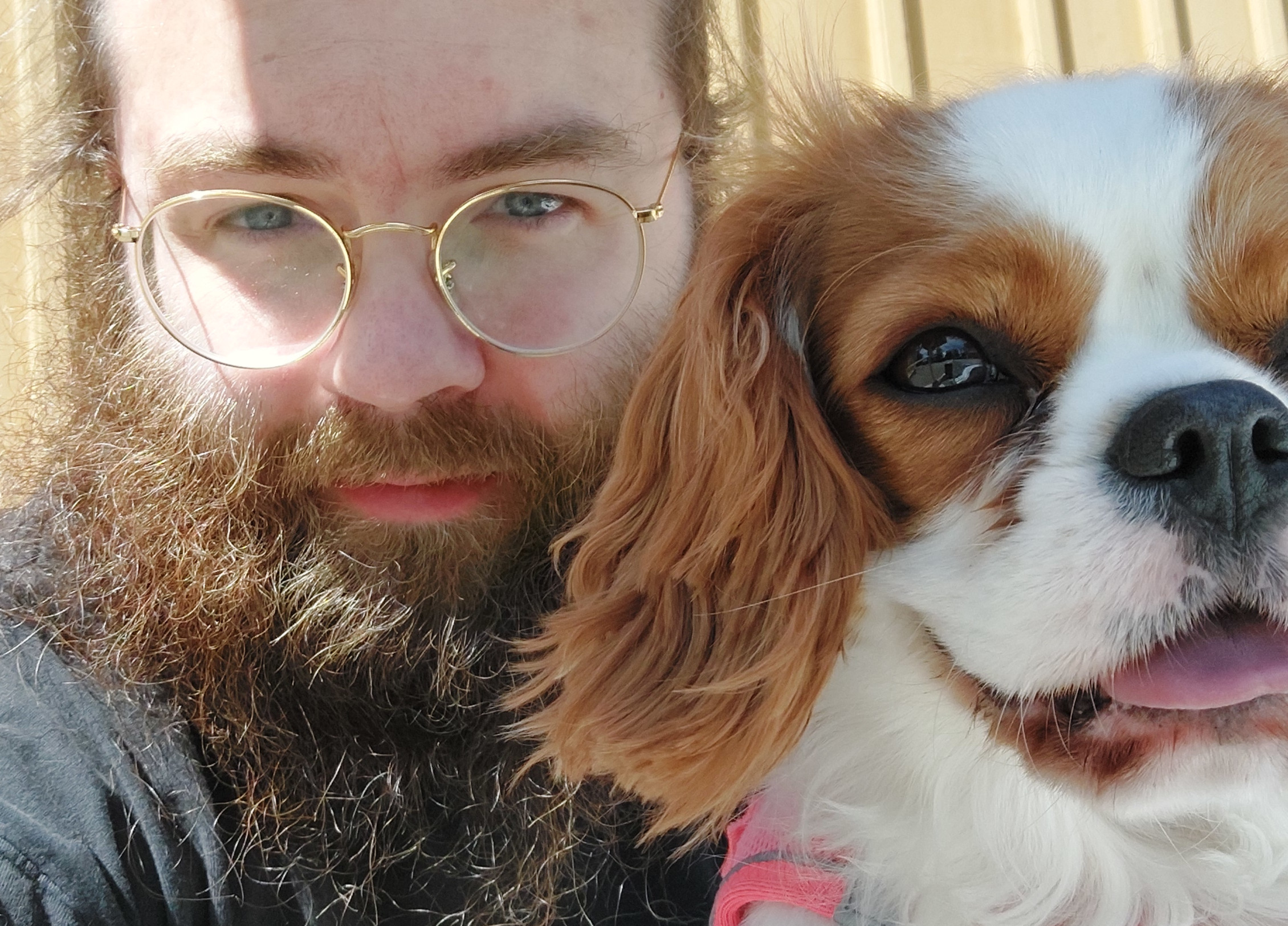 Bild på Andreas Rejbrand och hunden Flora, en Cavalier King Charles-spaniel.