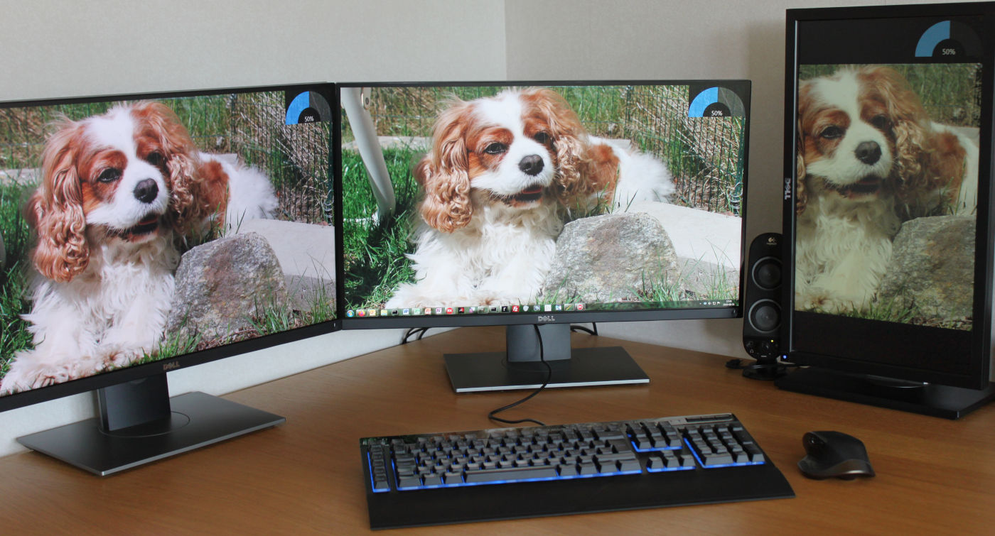 A desk with a Corsair K55 RGB keyboard and three large computer screens. The desktop wallpaper on each screen is a picture of a dog, a Cavalier King Charles Spaniel. In the top-right corner of each screen, a blue arc gauge OSD volume indicator is present, currently displaying 50%.